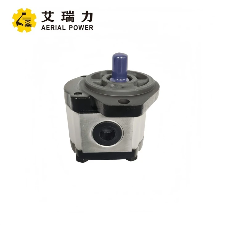 Hydraulic Pump 00000529 For Dingli suppliers